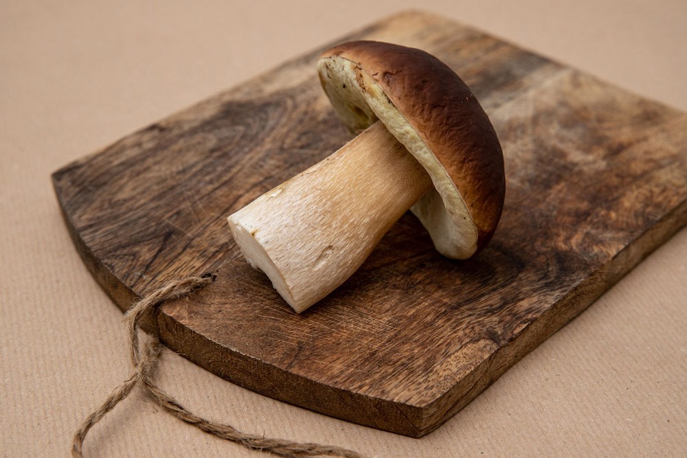 jara-lopez-ballonga-photographer-photography-photo-foto-food-mushrooms-pilz-pilze